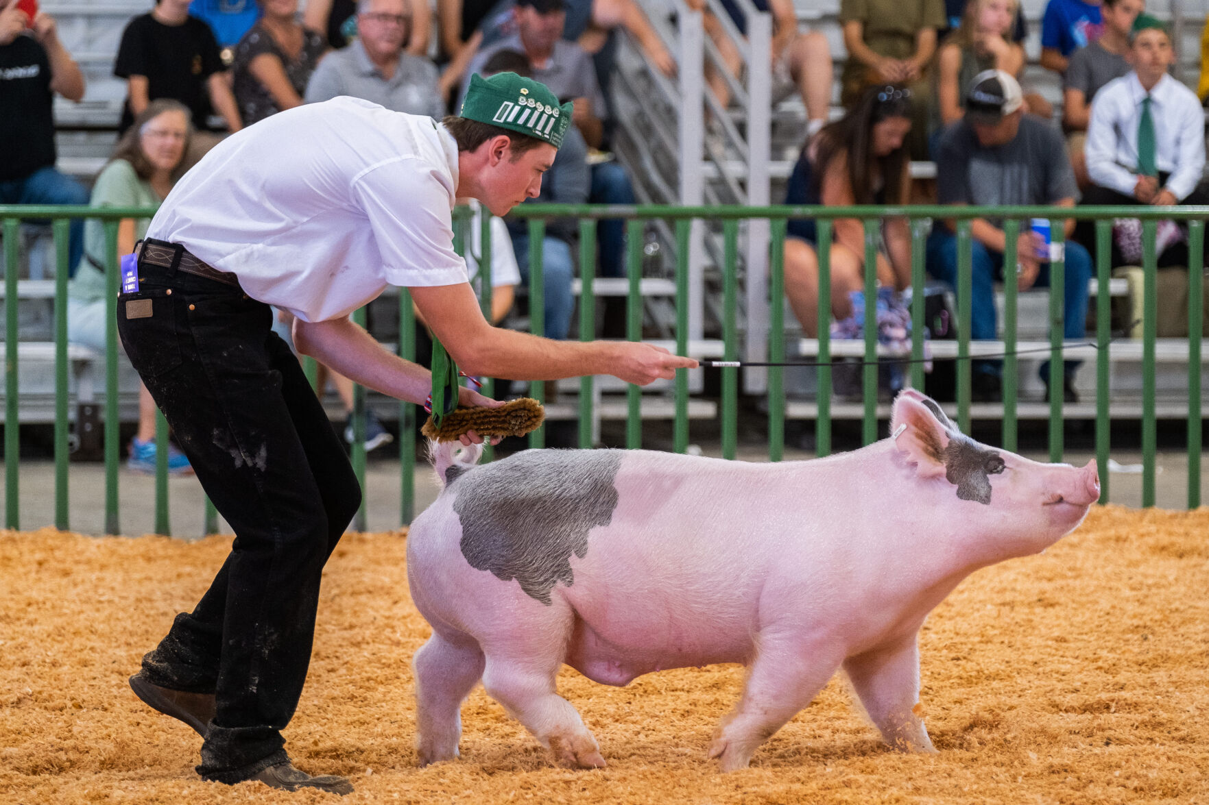 4-H at the Fair